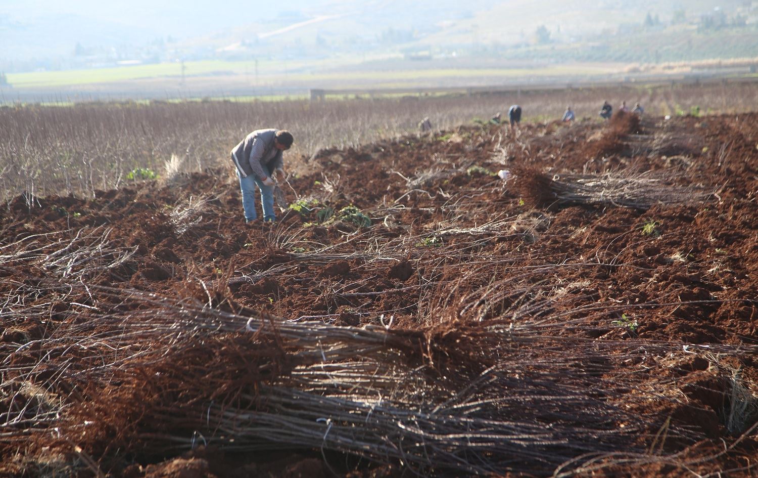 Li Bakurê Kurdistanê hişkesaliyeke dijwar despê kiriye
