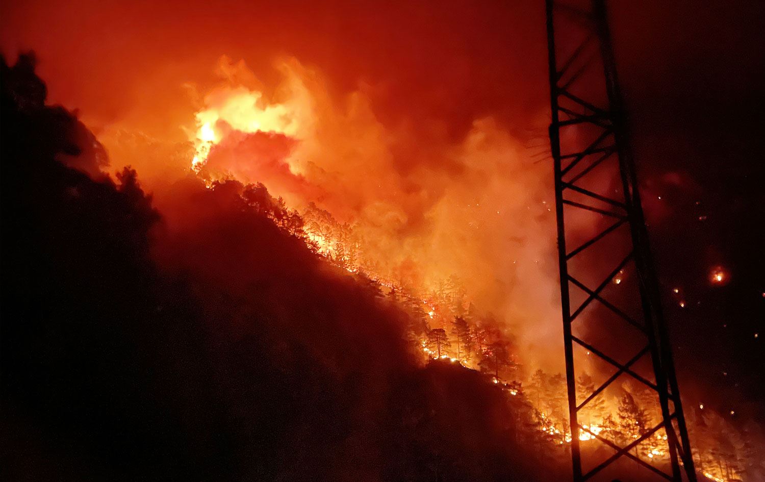 Antalya-Alanya'da 4 ayrı noktada orman yangını