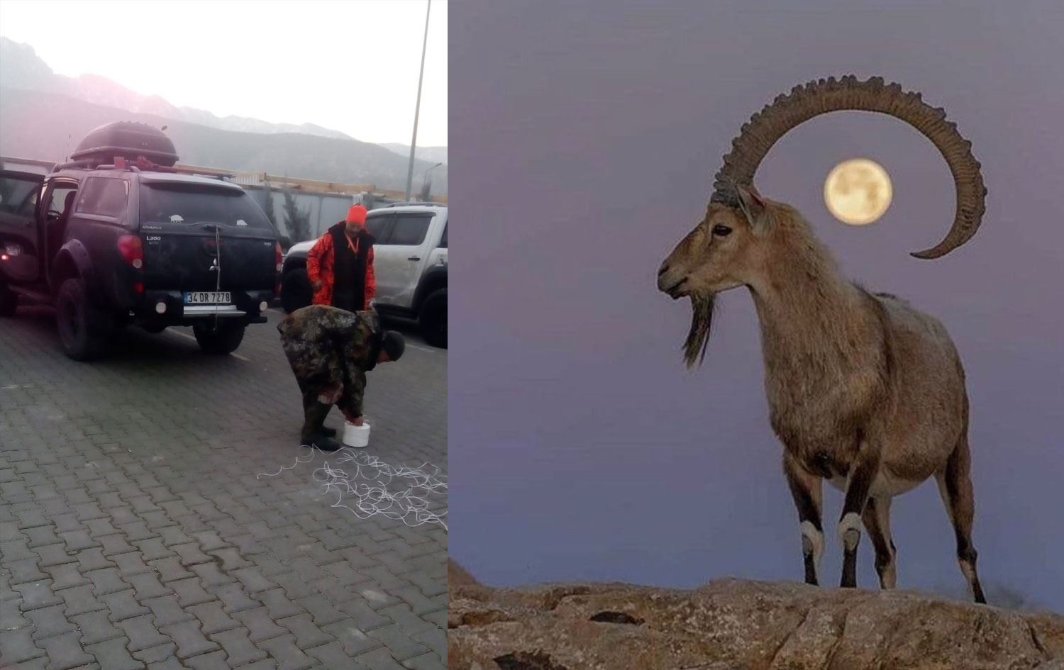 Avcılar, yaban hayvanlarını vurmak üzere Dersim’de: Maçoğlu’ndan çağrı