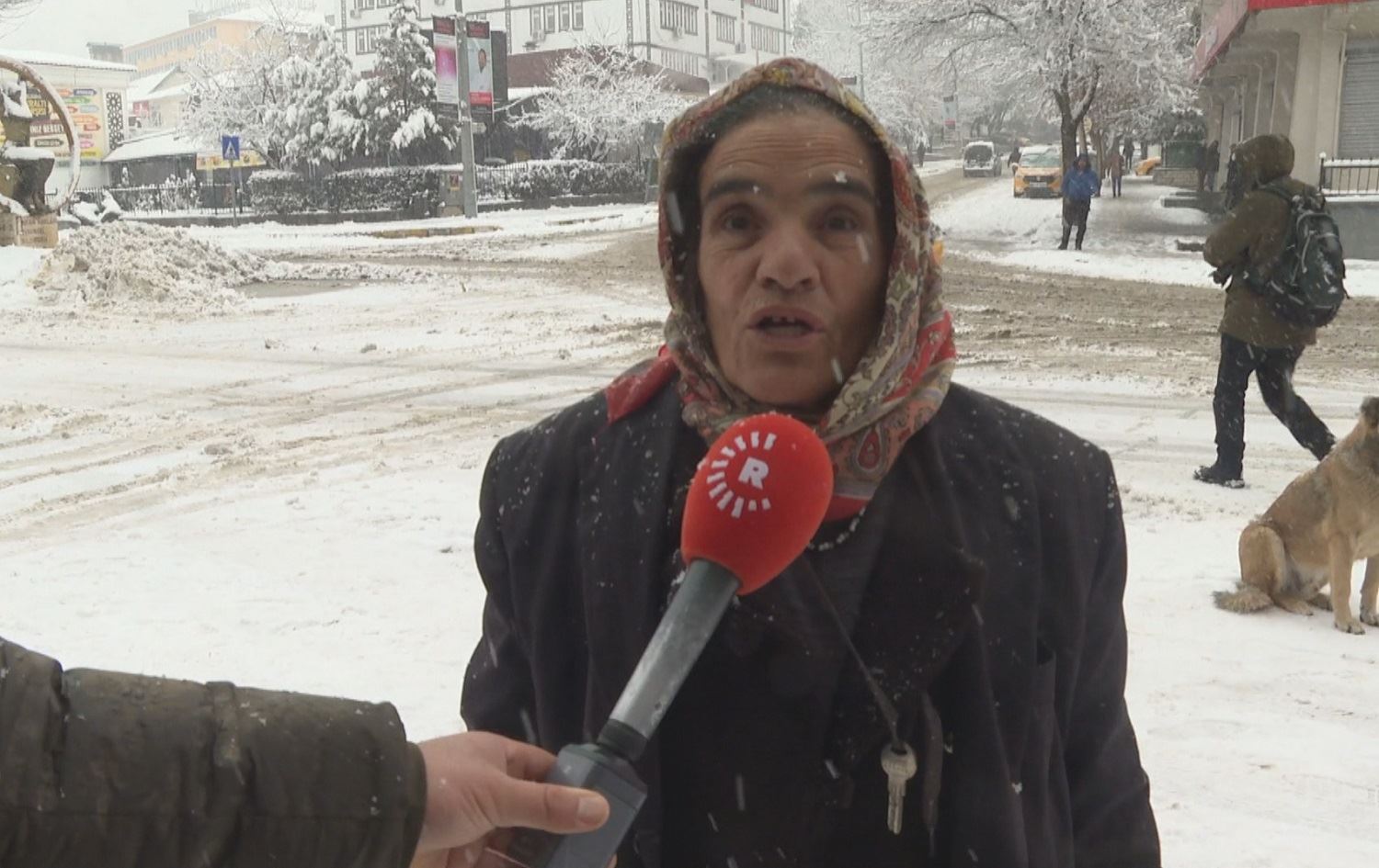 Li piraniya parêzgehên Bakurê Kurdistanê berf dibare