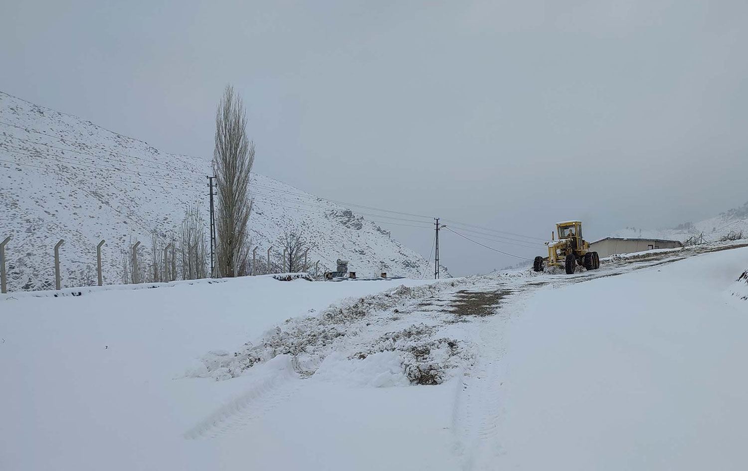 Li Wan, Colemêrg, Bedlîs û Mûşê ji ber berfê rêyên 1028 gundan hatin girtin