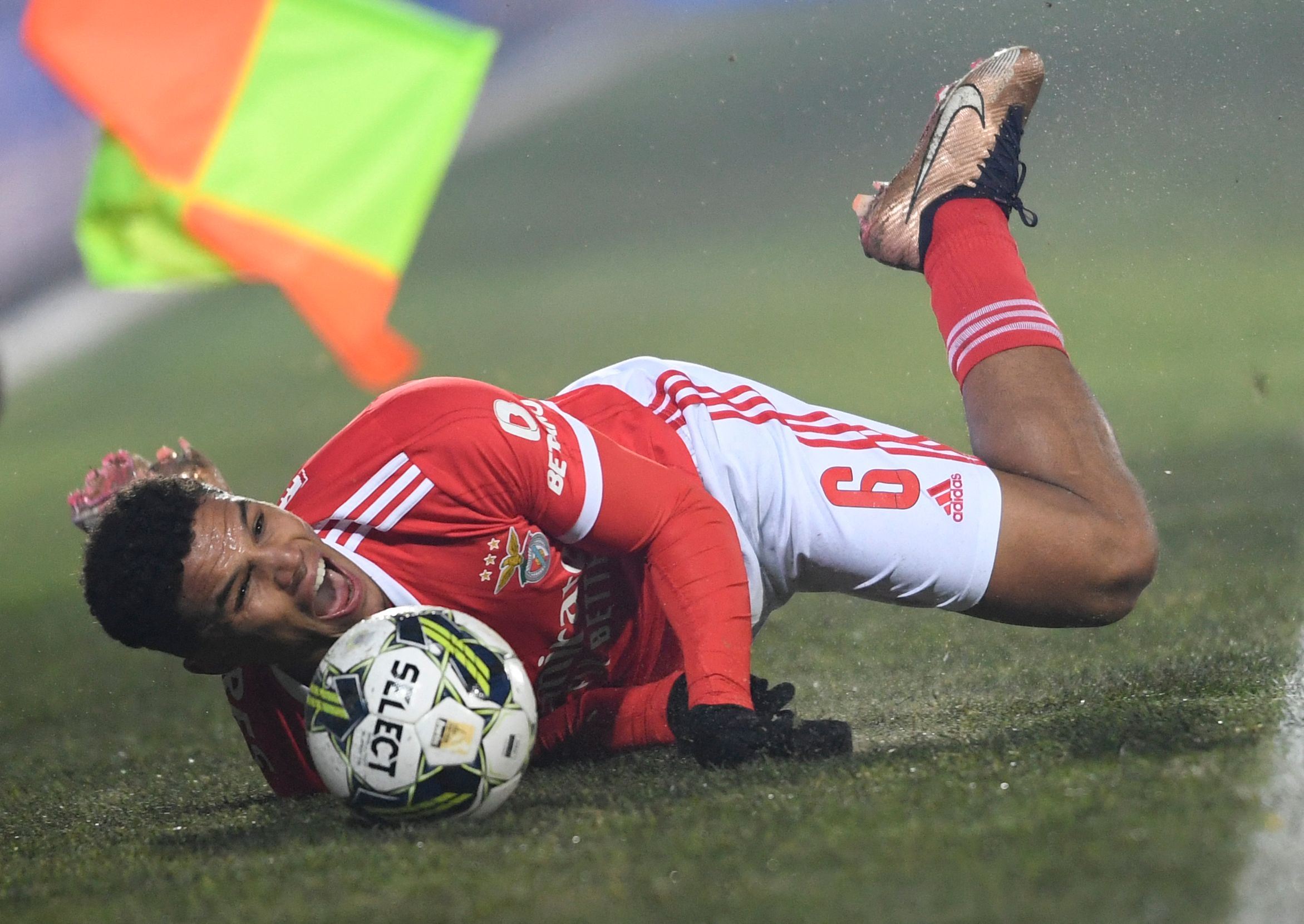 ڤیدیۆ؛ بێنفیکا ناکەوێت