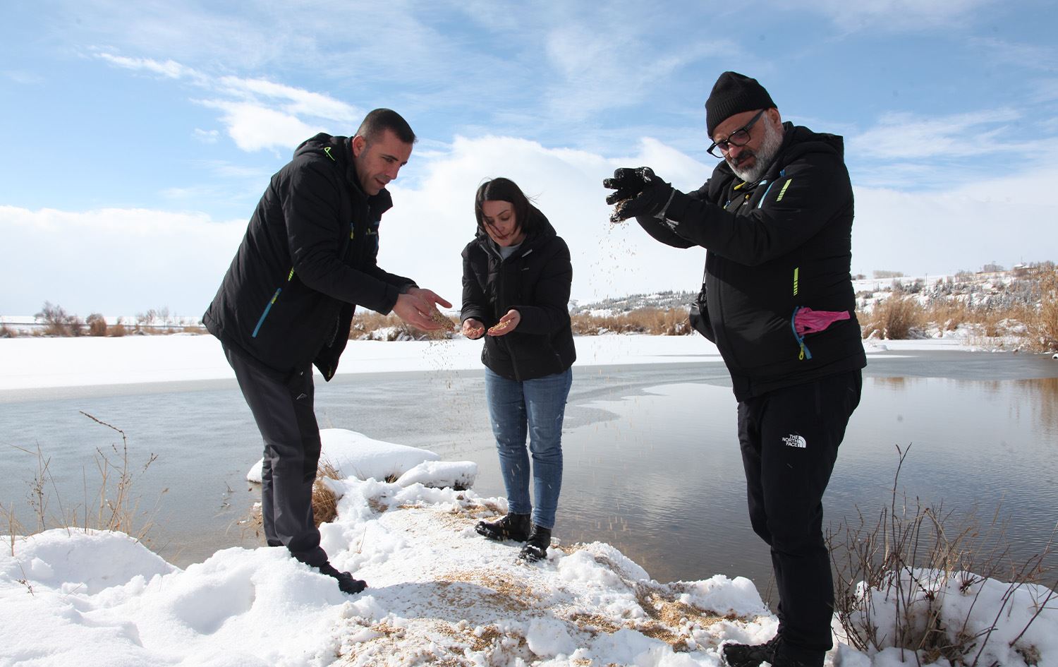Li Bedlîsê jîngehparêzan ji bo teyrikan êm danîn Bihişta Teyrikan