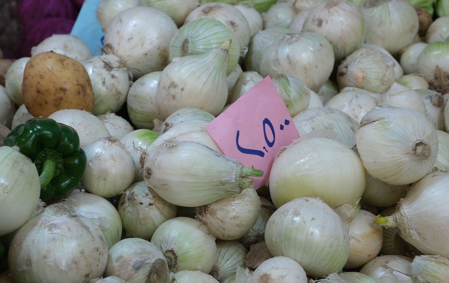 نرخی پیاز لە بازاڕەکانی هەرێمی کوردستان بەرزدەبێتەوە