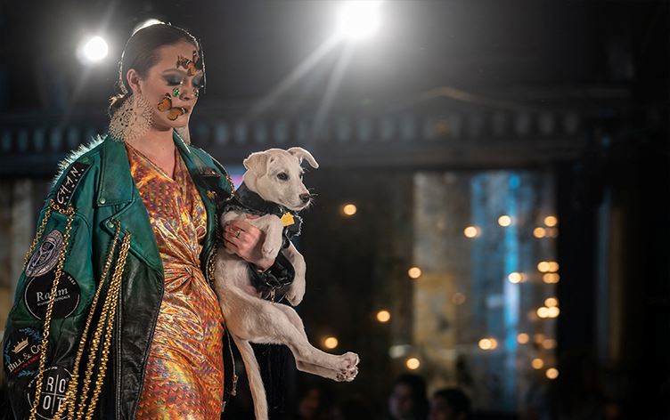 لە نیویۆرک لە رێگەی نمایشی جلوبەرگەوە پارە بۆ ئاژەڵان کۆدەکرێتەوە