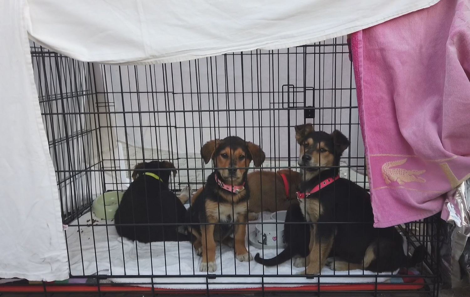 Li Hatayê nexweşxaneyek ji bo ajelên ji erdhejê rizgar bûne hatiye avakirin