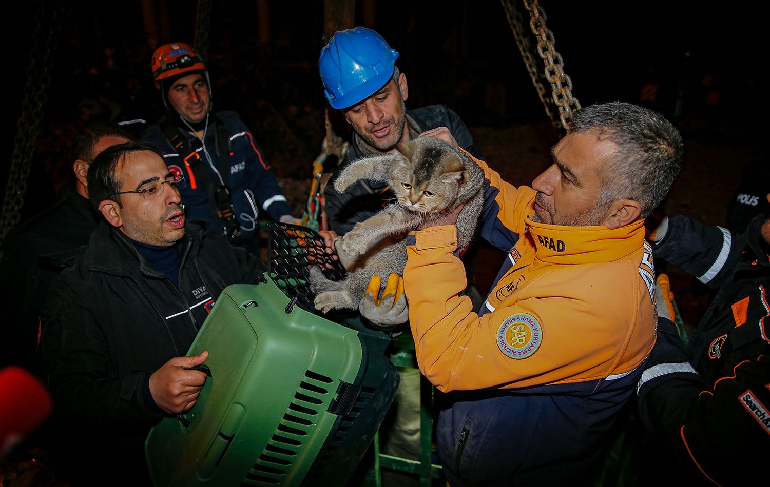Kedi ‘Zena’ için askeri helikopter devreye girdi