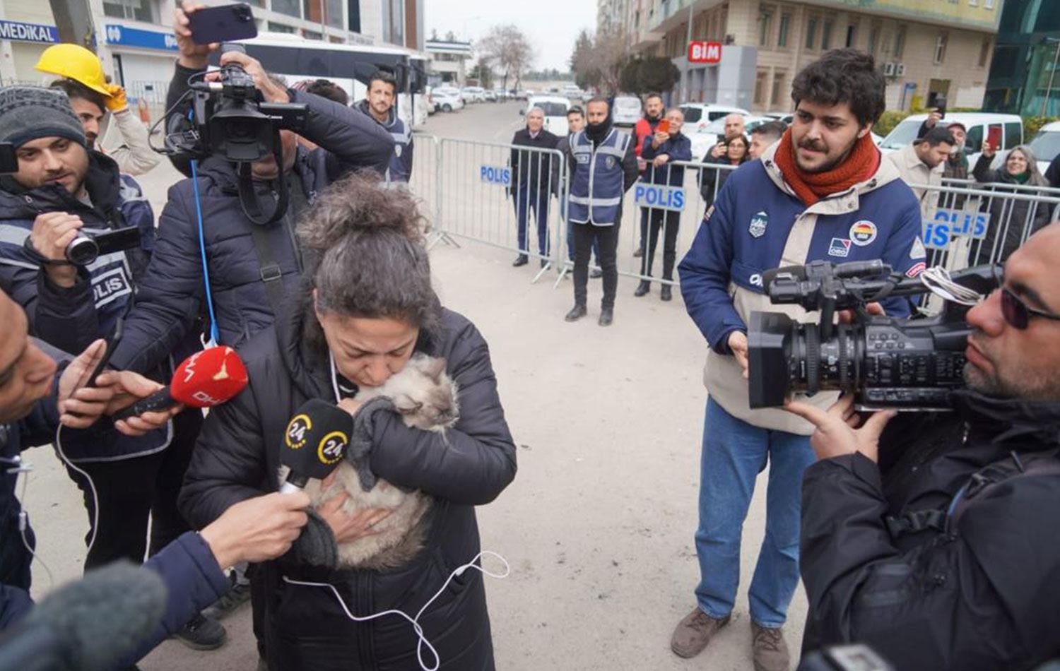 DİYARBAKIR – Yıkımı durdurulan Galeria’dan 7 kedi kurtarıldı