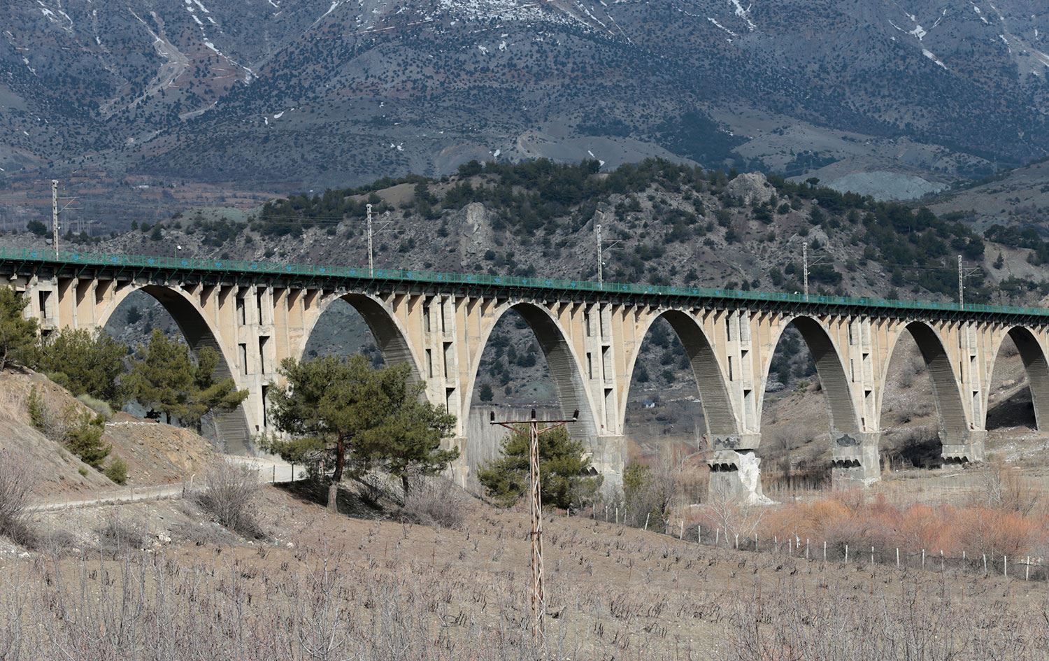 Pira Alman a 94 salî di erdhejê de hilneweşiya
