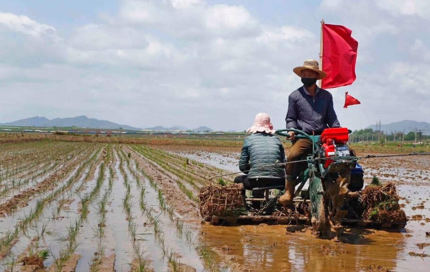 لە کۆریای باکوور قەیرانی خۆراکە؛ لە 12 ساڵی رابردوودا" وێنەی نەبووە