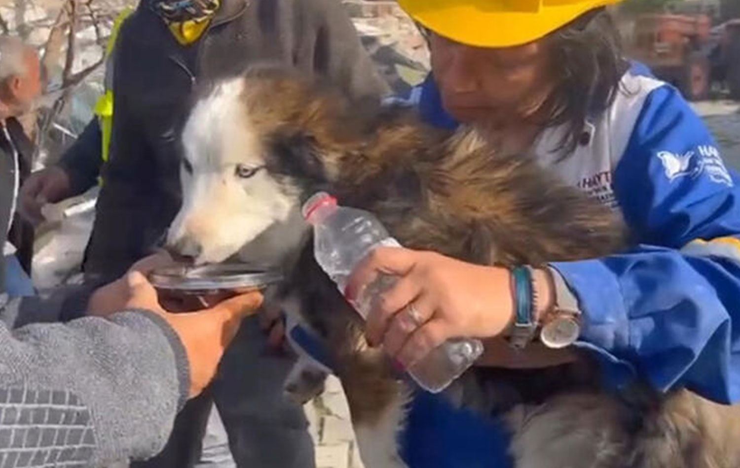 ‘Aleks’ enkaz altından 23 gün sonra sağ çıkarıldı