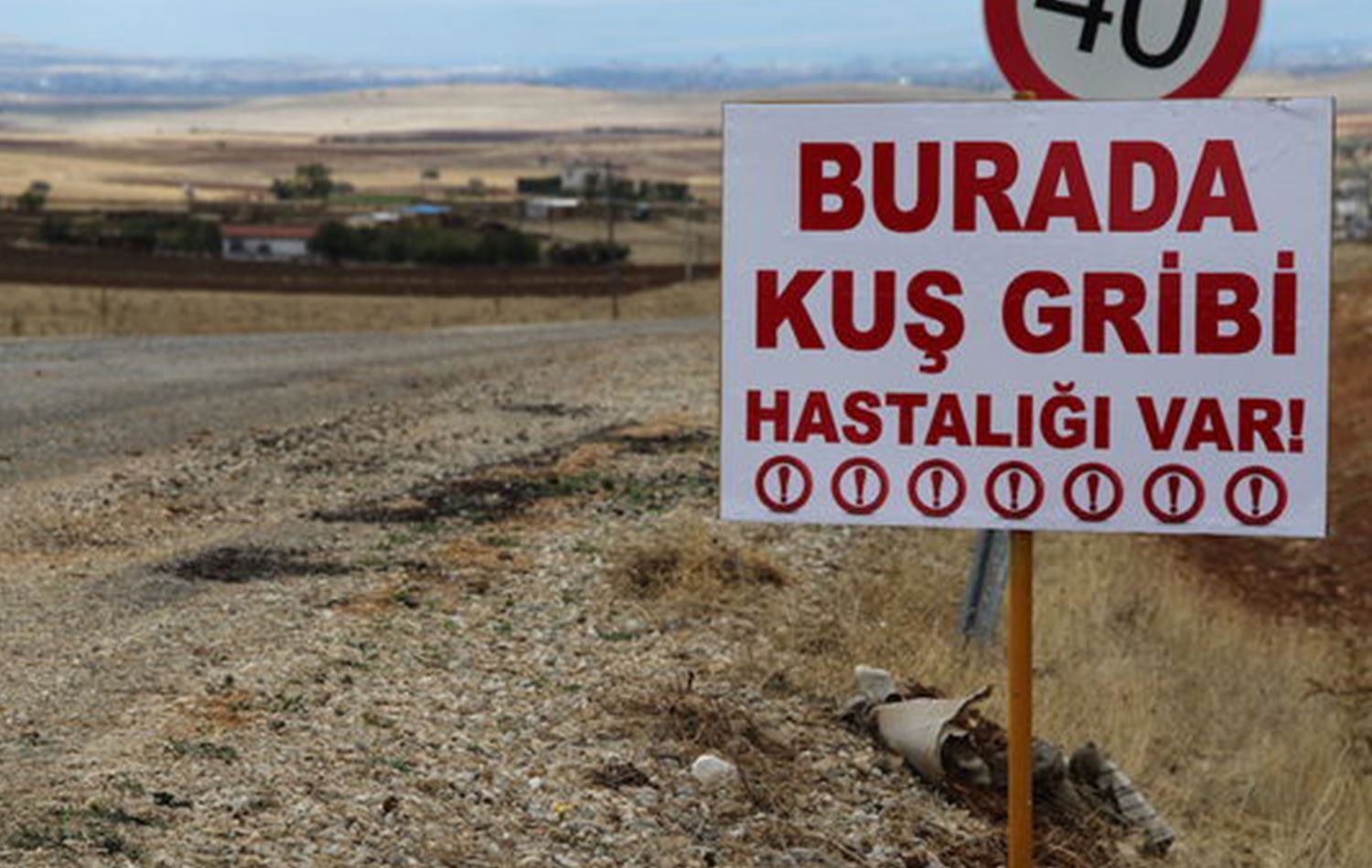 Li du bajarên Tirkiyê şewba çûkan: 6.5 milyon mirîşk hatin jinavbirin