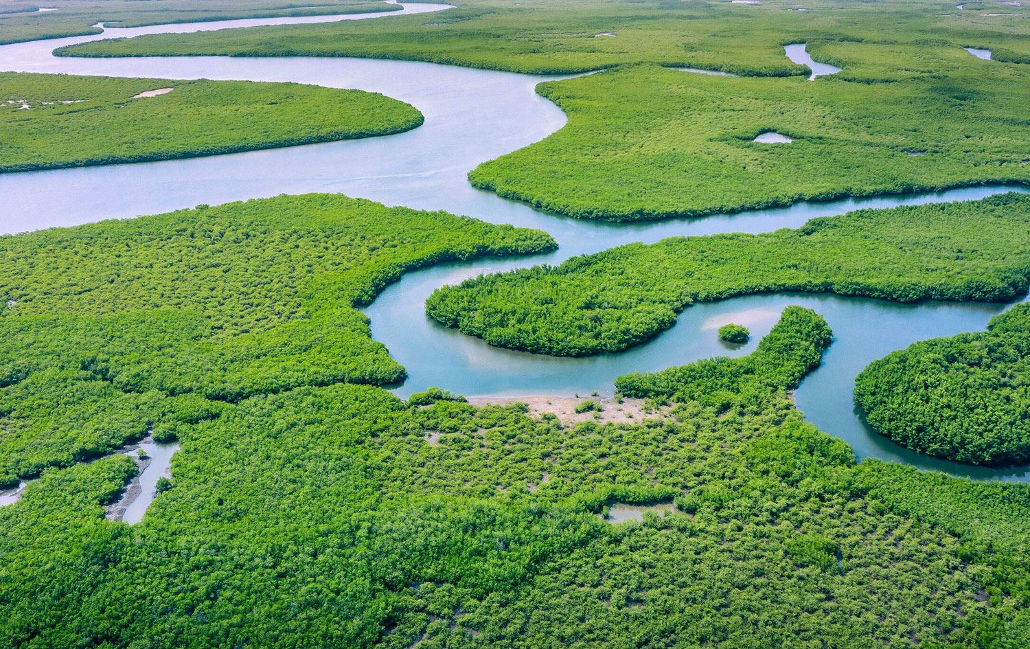 Amazon’da 1 ay boyunca solucan ve böcek yiyerek hayatta kaldı