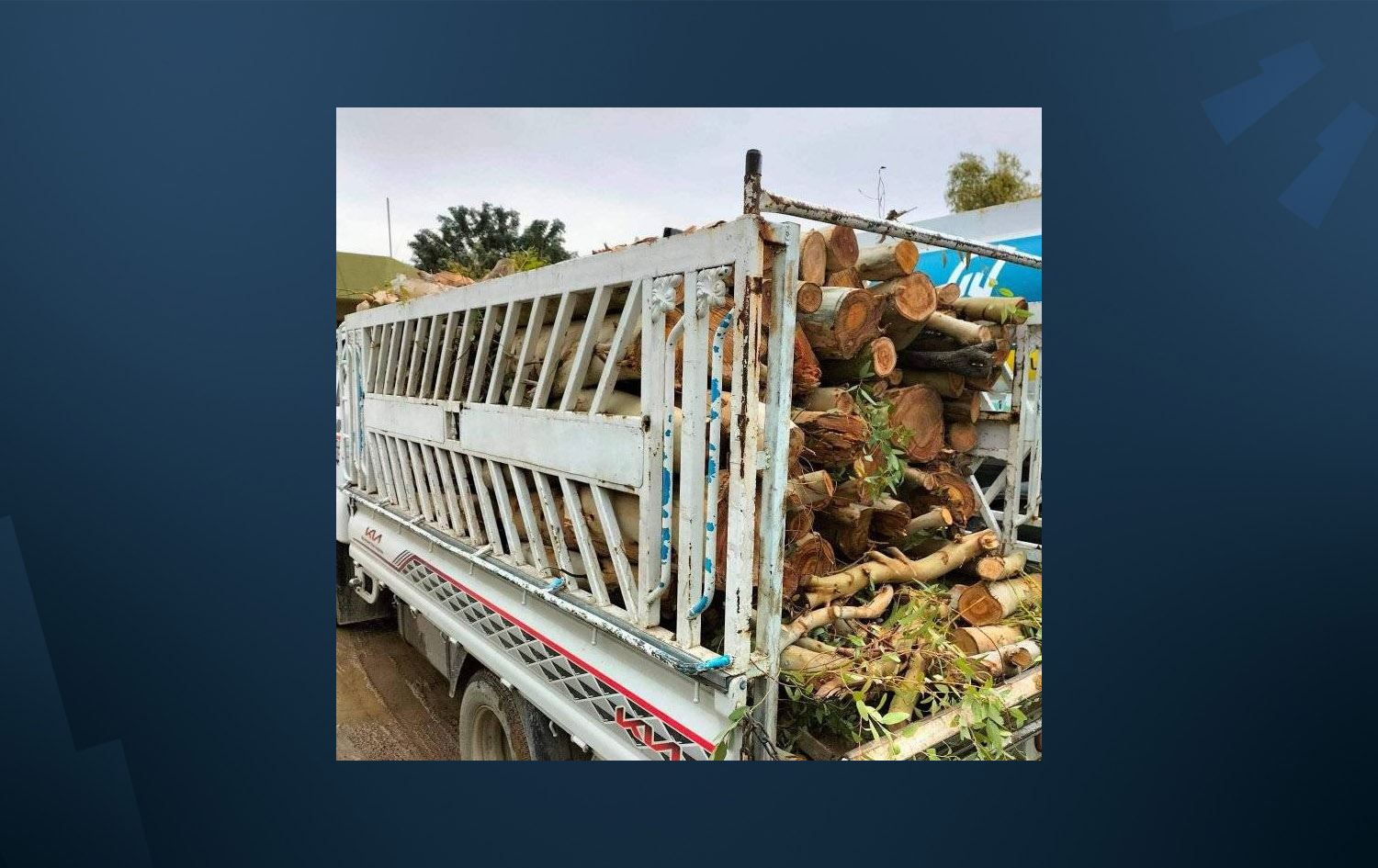 دارستانی گەرمیان: لەسەر سووتان و بڕینەوەی دارەکانی رووباری سیروان 10 کەس دەستگیرکراون