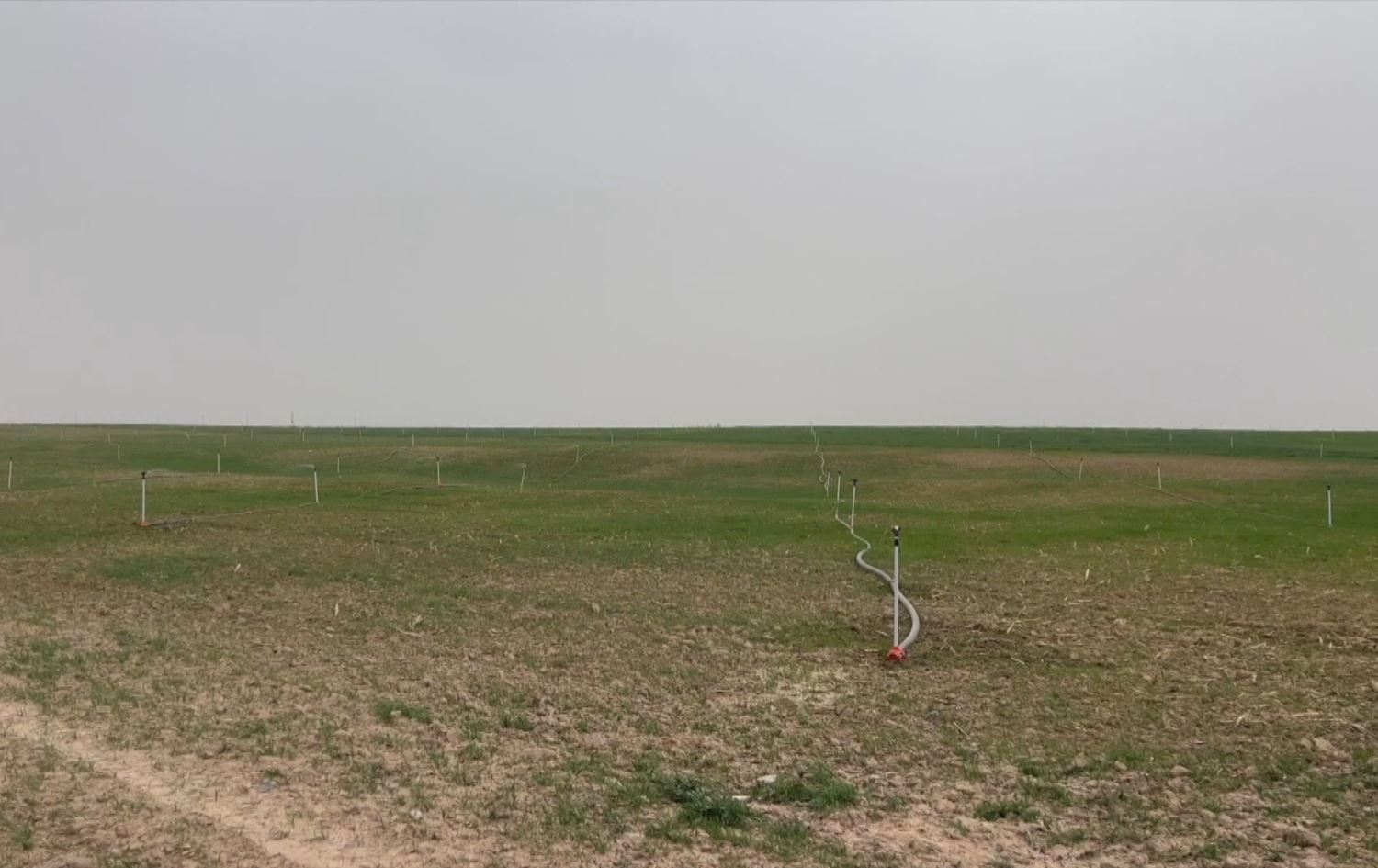 جووتیارانی سەرگەڕان: بە پشتیوانیی سوپای عێراق هەوڵی داگیرکردنی زەوییەکانمان دەدرێت