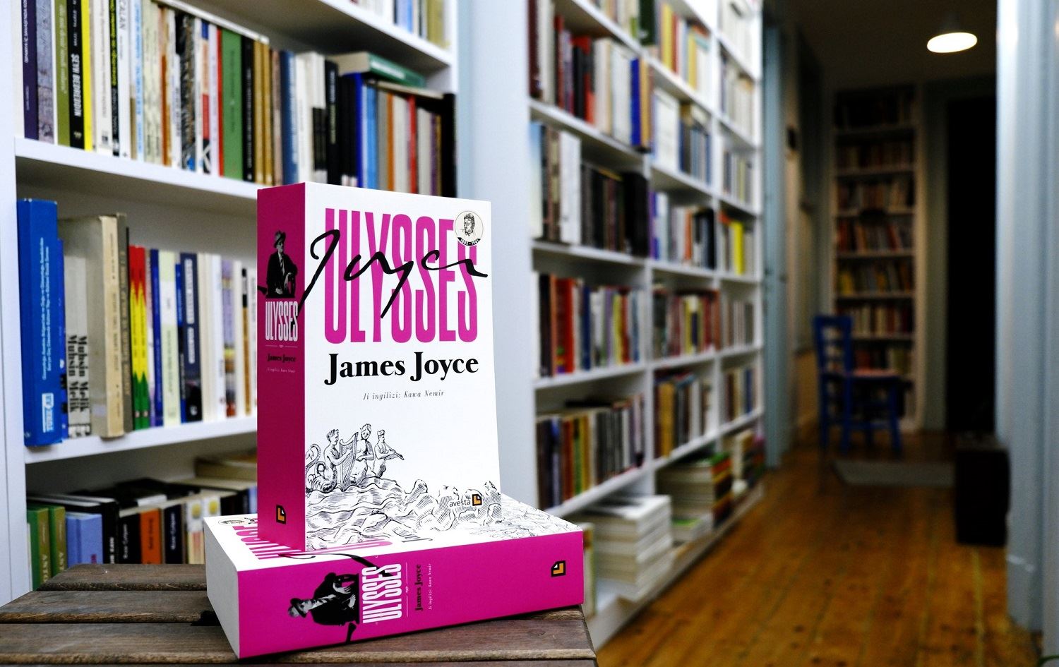 Berhema James Joyce 'Ulysses' bi Kurdiya Kawa Nemir derket