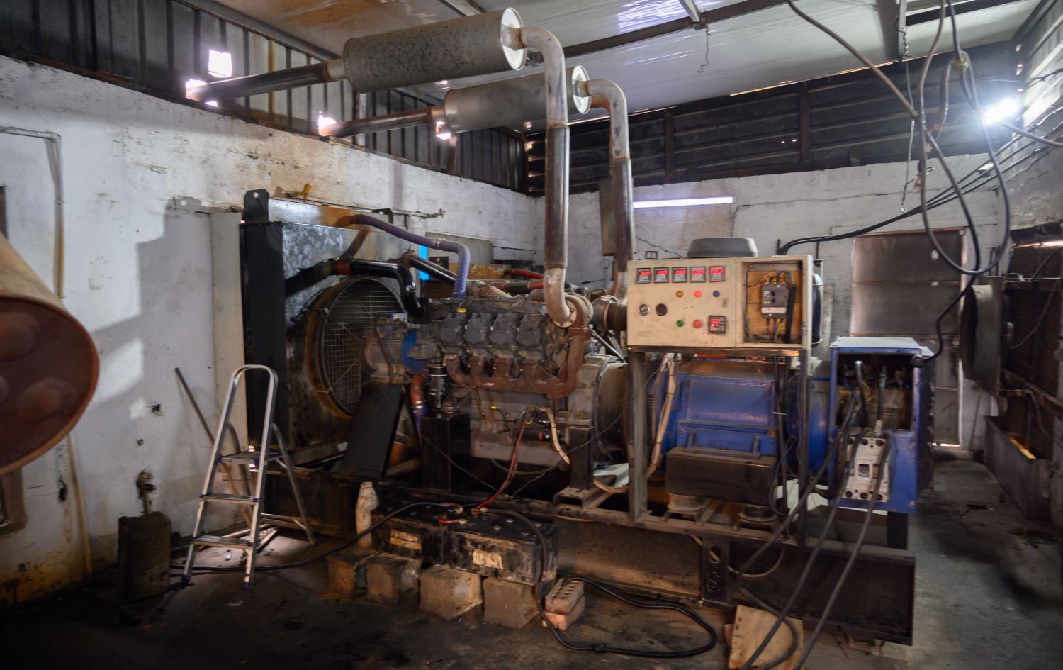 لە عێراق و هەرێمی کوردستان نزیکەی 49 هەزار موەلیدە هەن