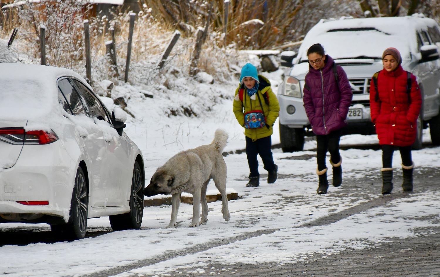 Li Qersê di Newrozê de jî barîna berfê berdewam kir
