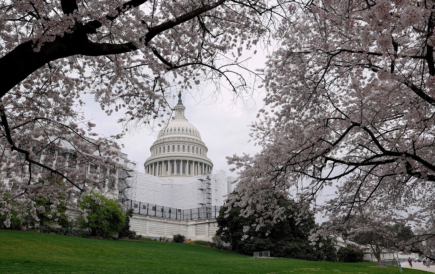 ئەنجوومەنی پیرانی ئەمریکا دەنگ لەسەر هەڵوەشاندنەوەی دوو دەسەڵاتی تایبەت بە جەنگی عێراق دەدات