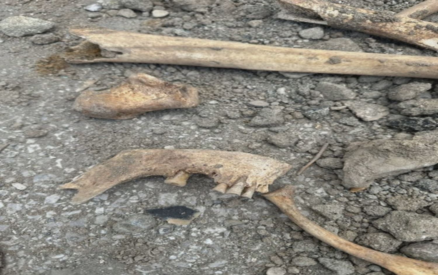 Li Wanê di baxçeyê dibistanekê de hestiyên mirovan hatin dîtin