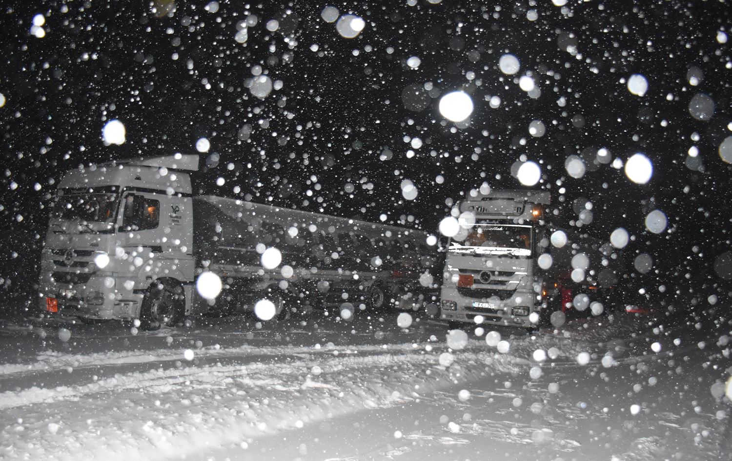بەفر پارێزگای قەرس لە باکووری کوردستان سپیپۆش دەکات