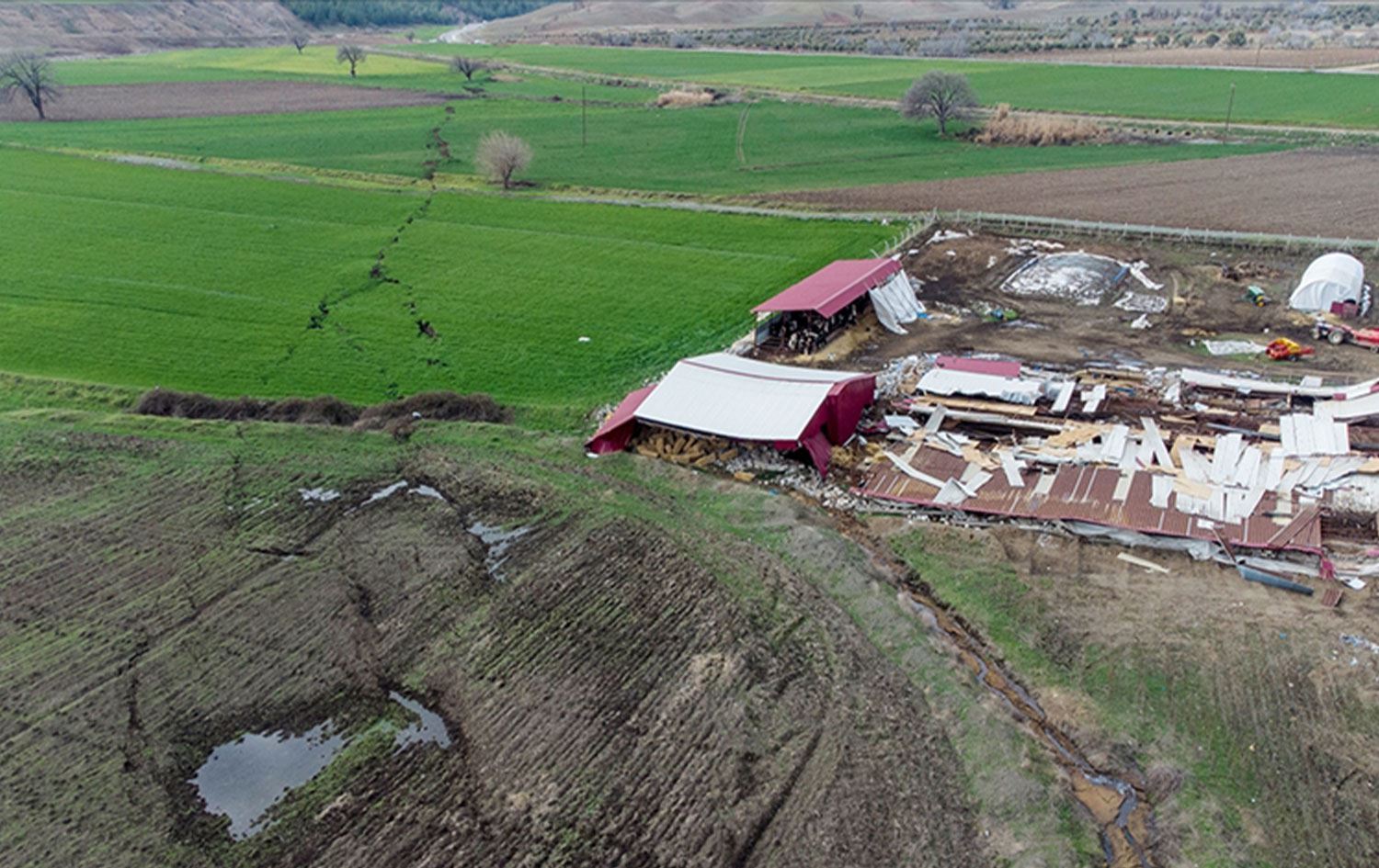 BM: Depremler Türkiye'nin tarım üretiminin yüzde 20'sini etkiledi