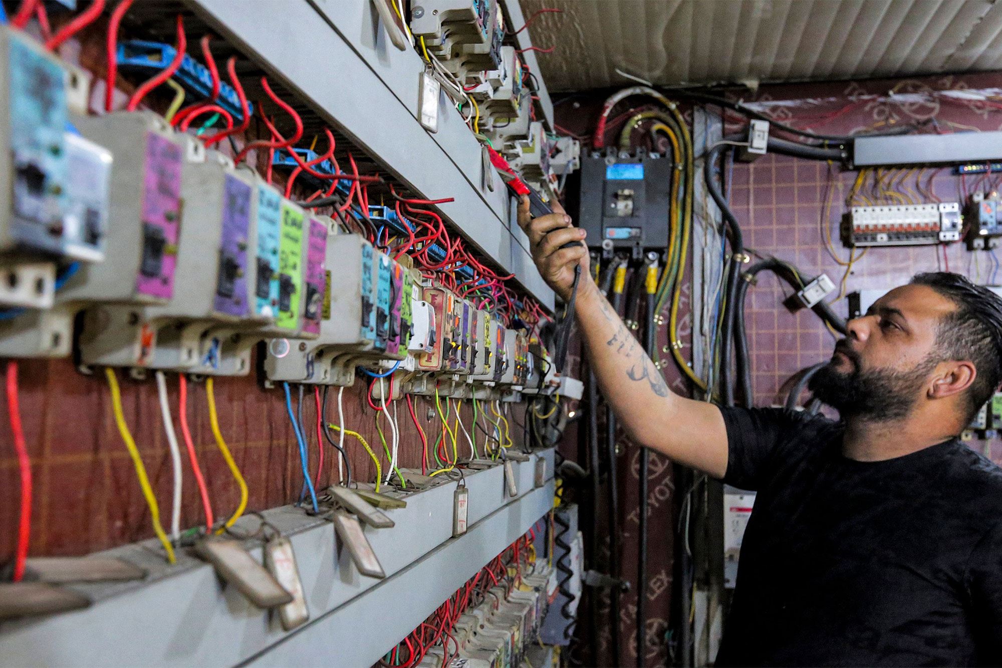 نرخی ئەمپێری موەلیدە مانگی رابردوو لە هەولێر بەرزترین و هەڵەبجە نزمترین بووە