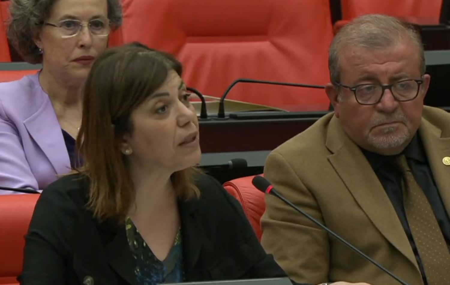 HDP’li Beştaş ırkçı saldırıyı Meclis’e taşıdı