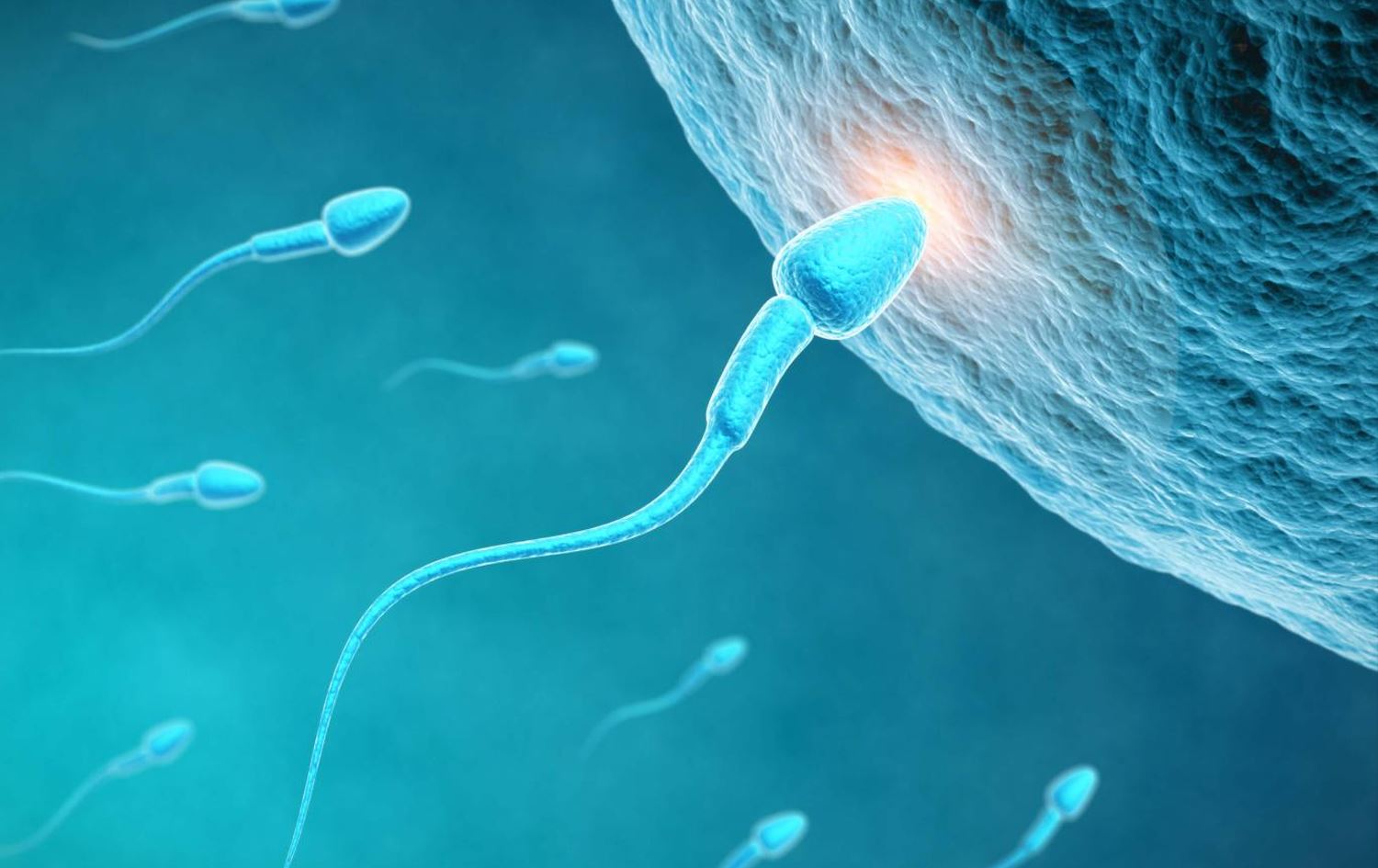 WHO: نەزۆکی دووچاری یەک لەسەر شەشی خەڵکی جیهان دەبێتەوە