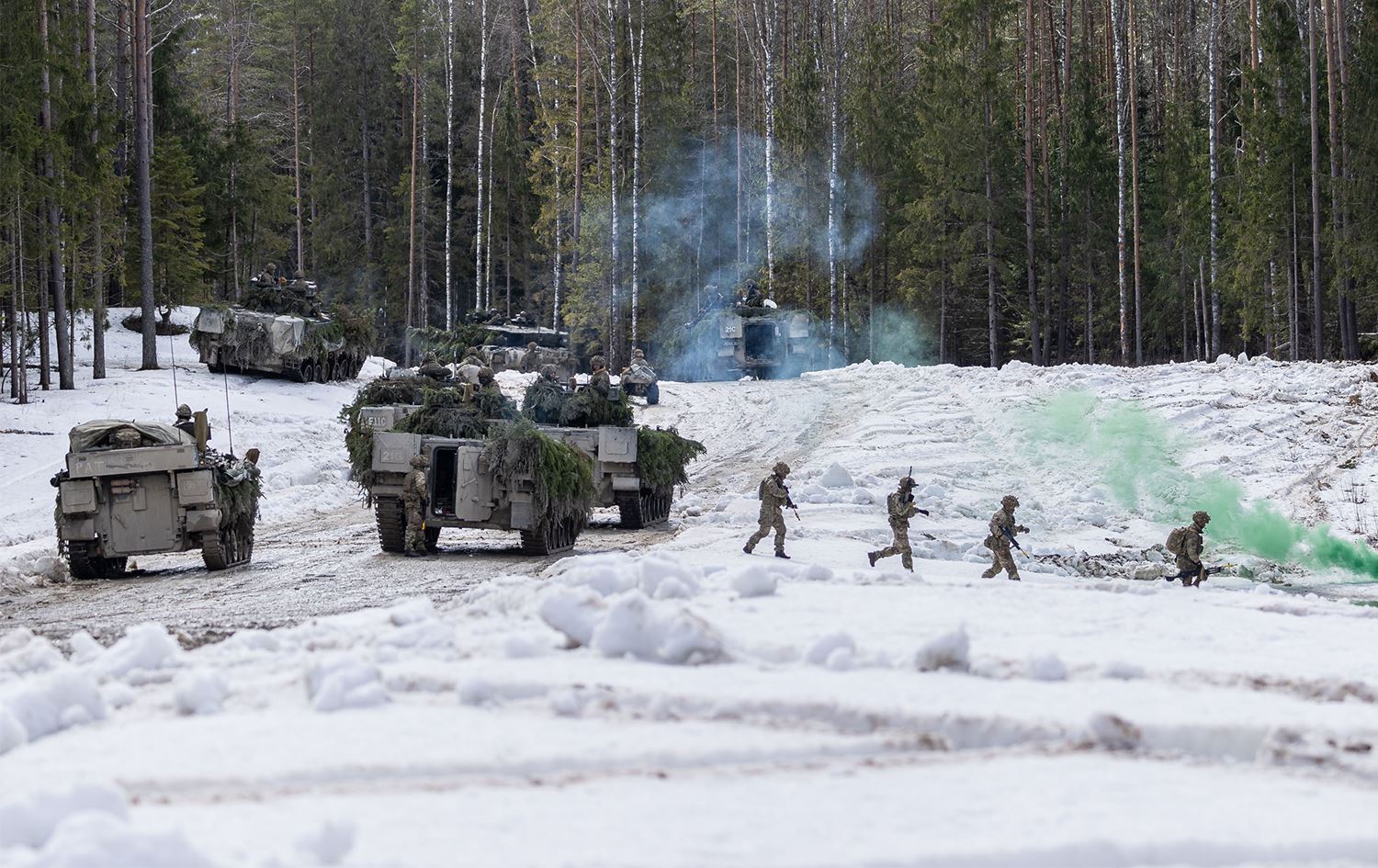 Estonya’dan bir askeri birlik Erbil'de konuşlanacak