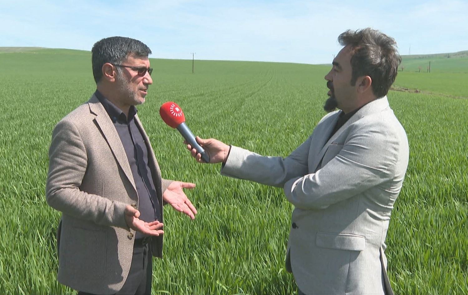 Li Amedê îsal berhemê genim û ceh ji ber baranê baş e