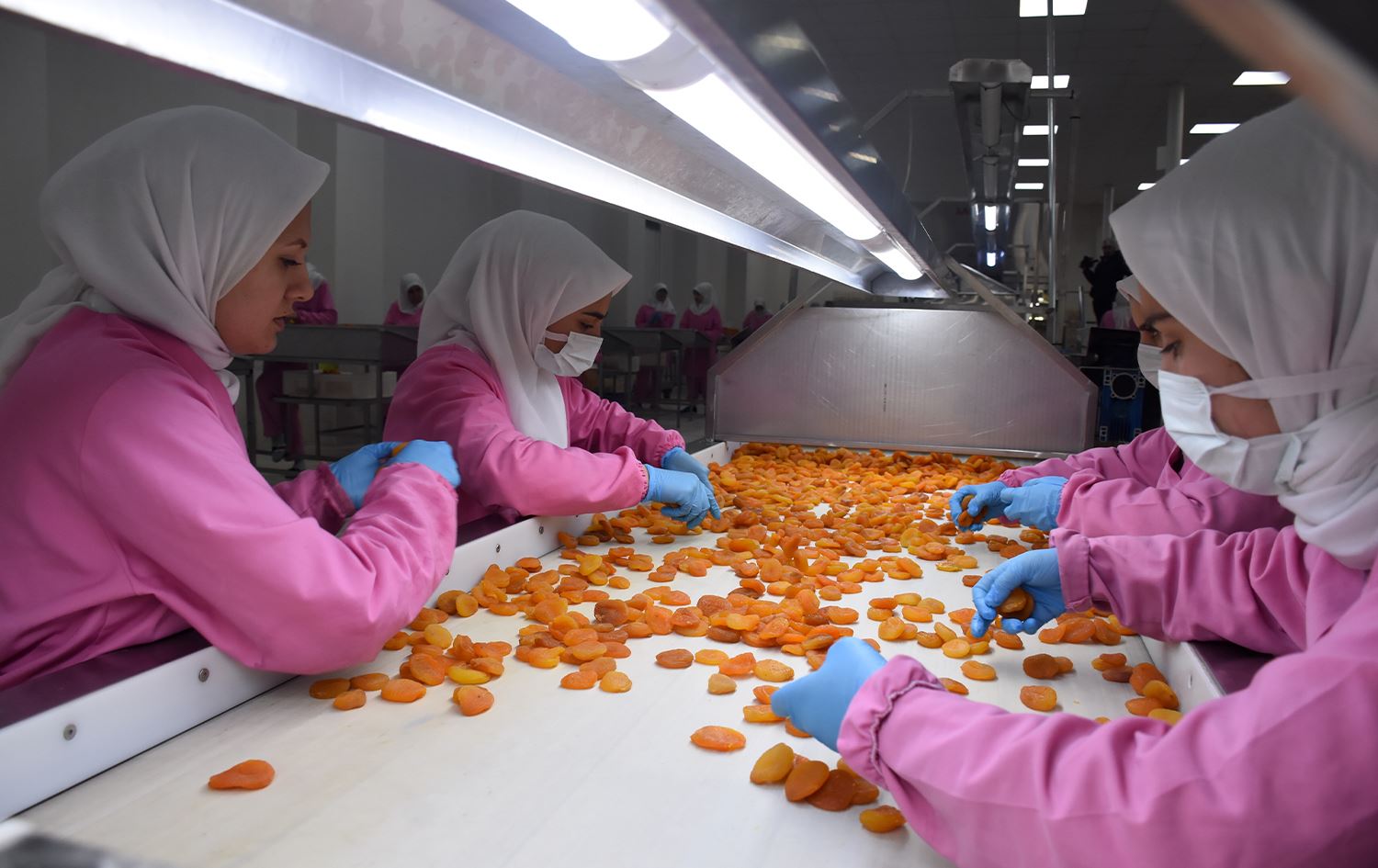 Ji Meletiyê di meha Adarê de bi 44 milyon dolaran qeysî hatin hinardekirin