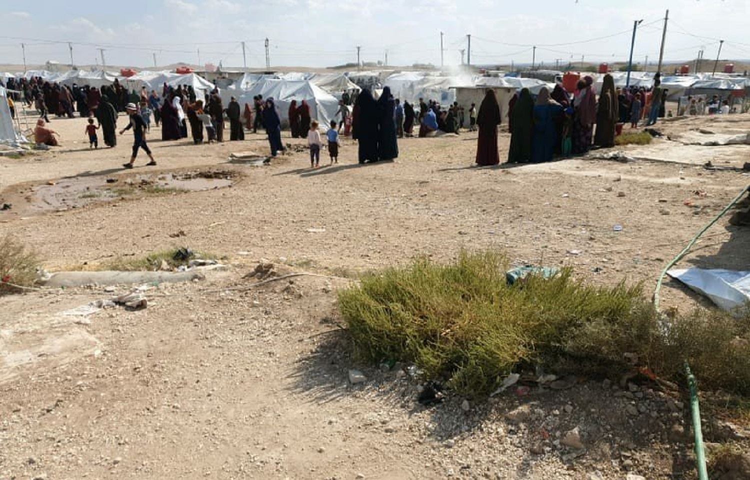 Ji Awustraliyayê tê xwestin 10 jin û 30 zarokên malbatên DAIŞê ji kampên Rojavayê Kurdistanê vegerîne