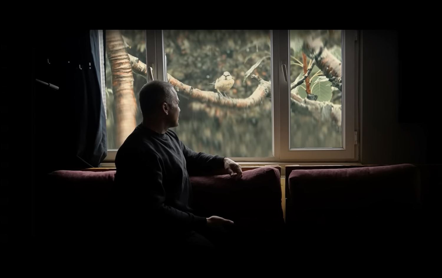 Strana nû ya Mem Ararat zêdetirî milyonek û 200 hezar carî hatiye temaşekirin