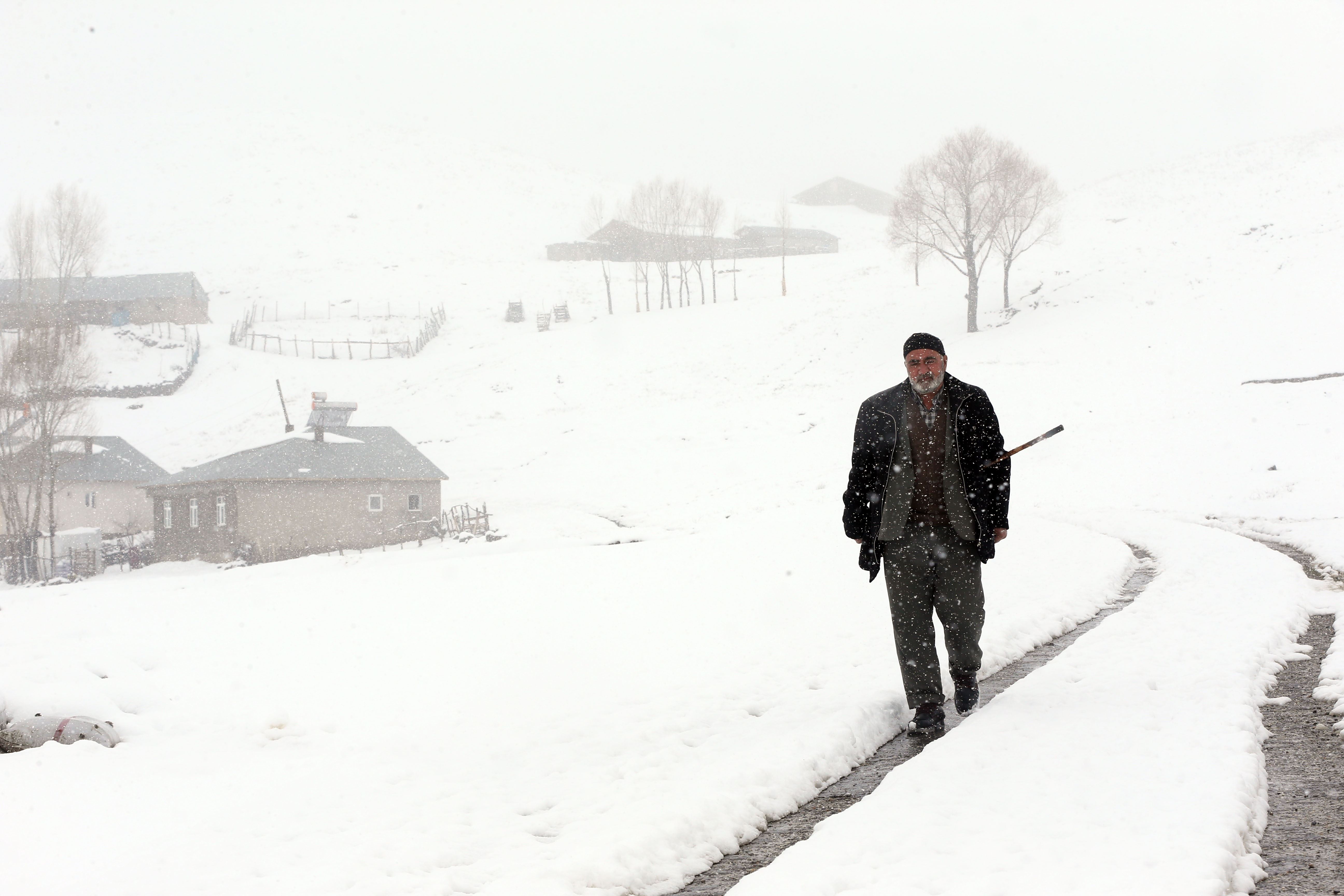 Muş, Bitlis ve Hakkari beyaza büründü