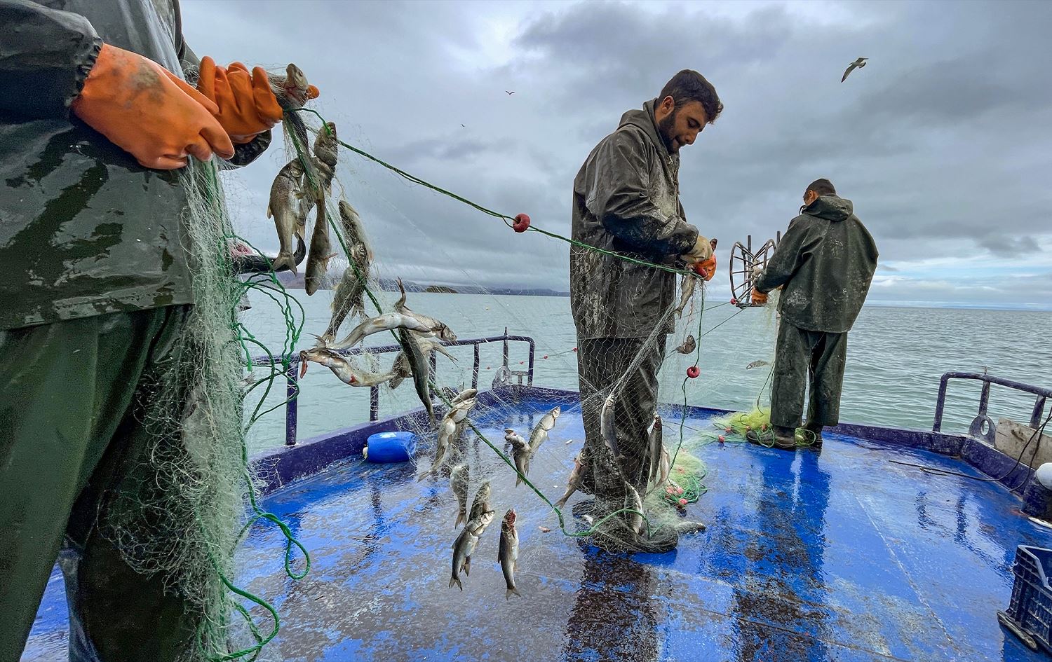 Li Gola Wanê girtina masiyan ji bo sê mehan qedexe ye