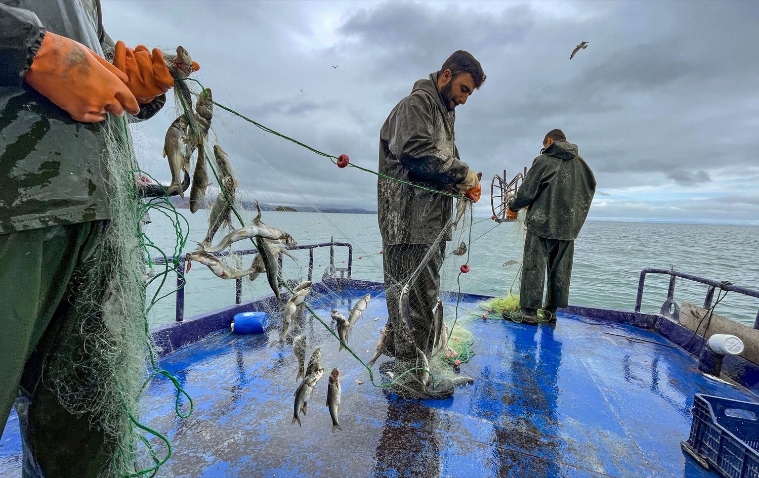 Van Gölü'nde ‘inci kefali’ için av yasağı başladı