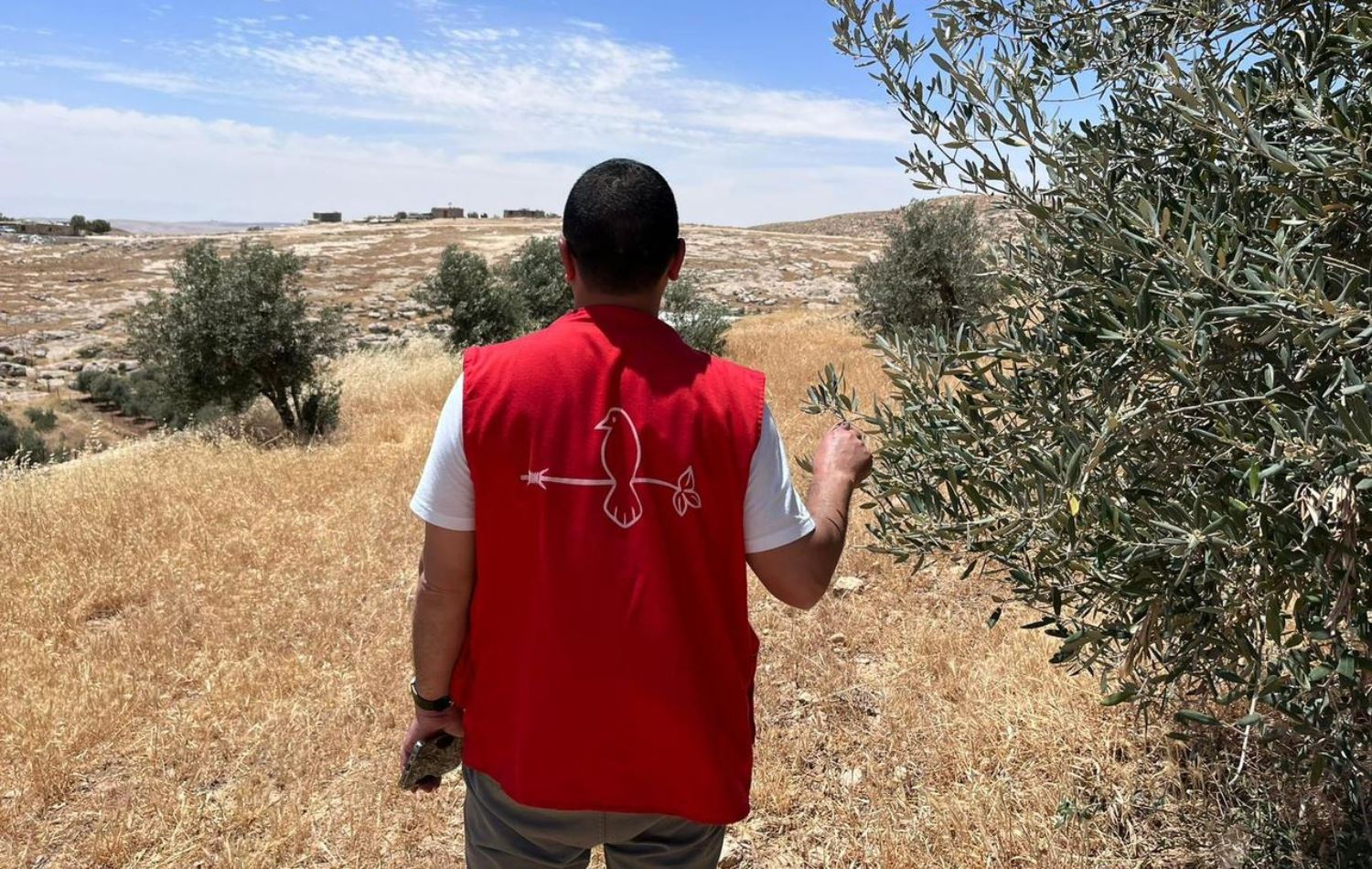 رێکخراوی CPT: تورکیا لە 14 رۆژدا 11 جار هەرێمی کوردستانی بۆردوومان کردووە