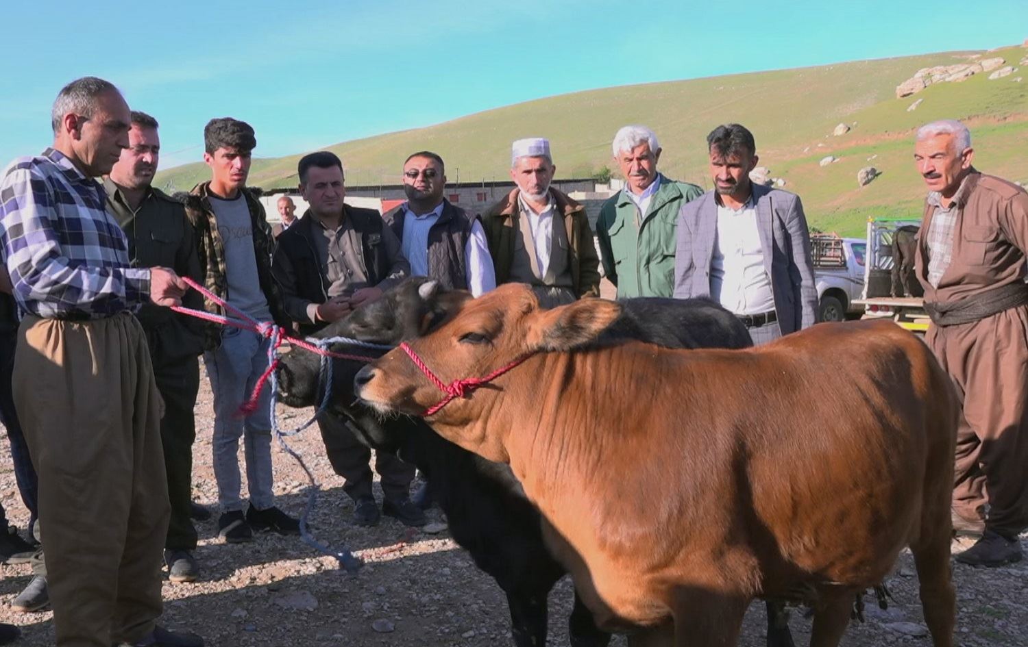 Li Duhokê buhaya pez û çêlan du qat bilind bûye