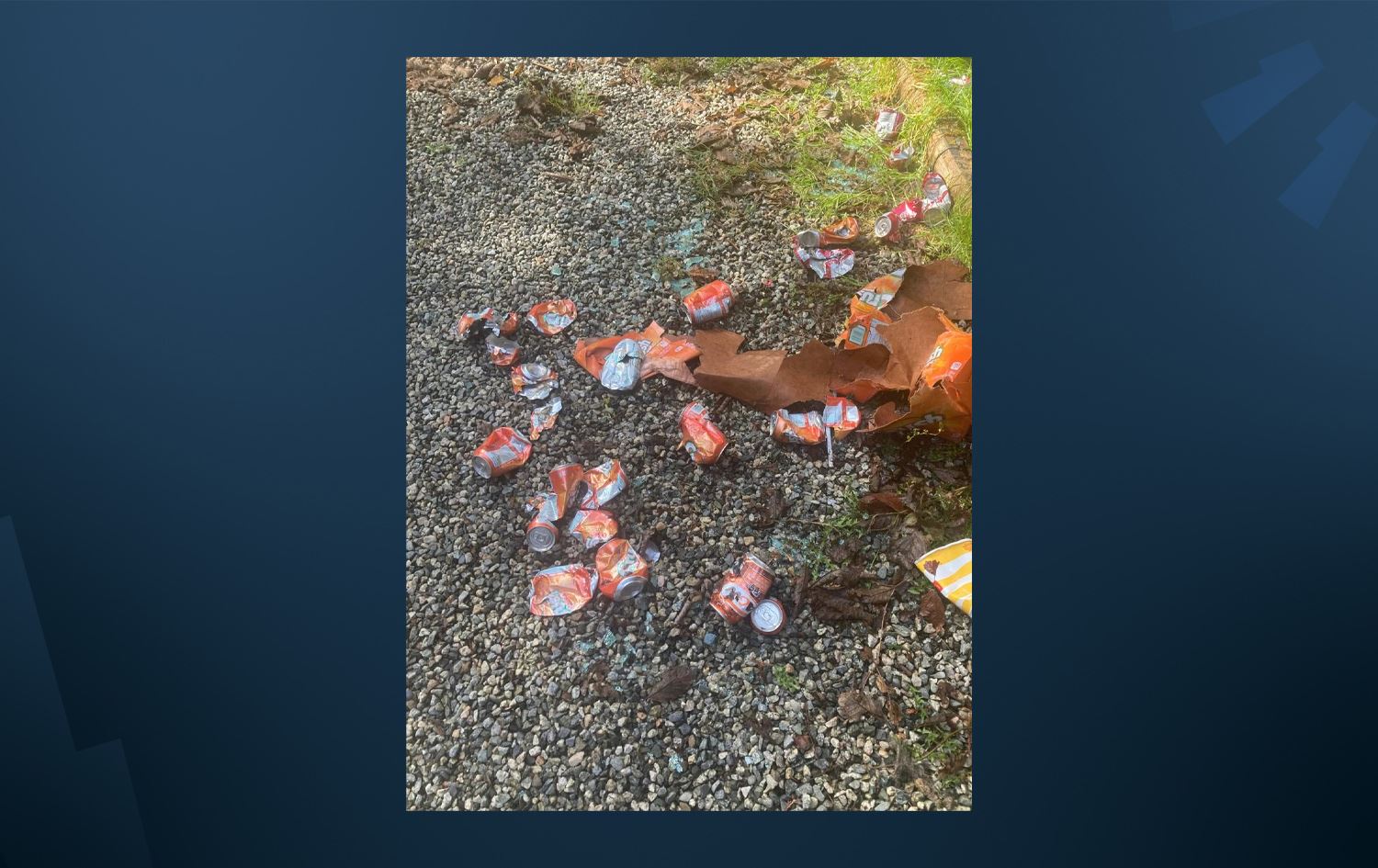 ورچێک لە کەنەدا دەچێتە نێو ئۆتۆمبێلێک و 69 قوتوو سۆدە دەخواتەوە