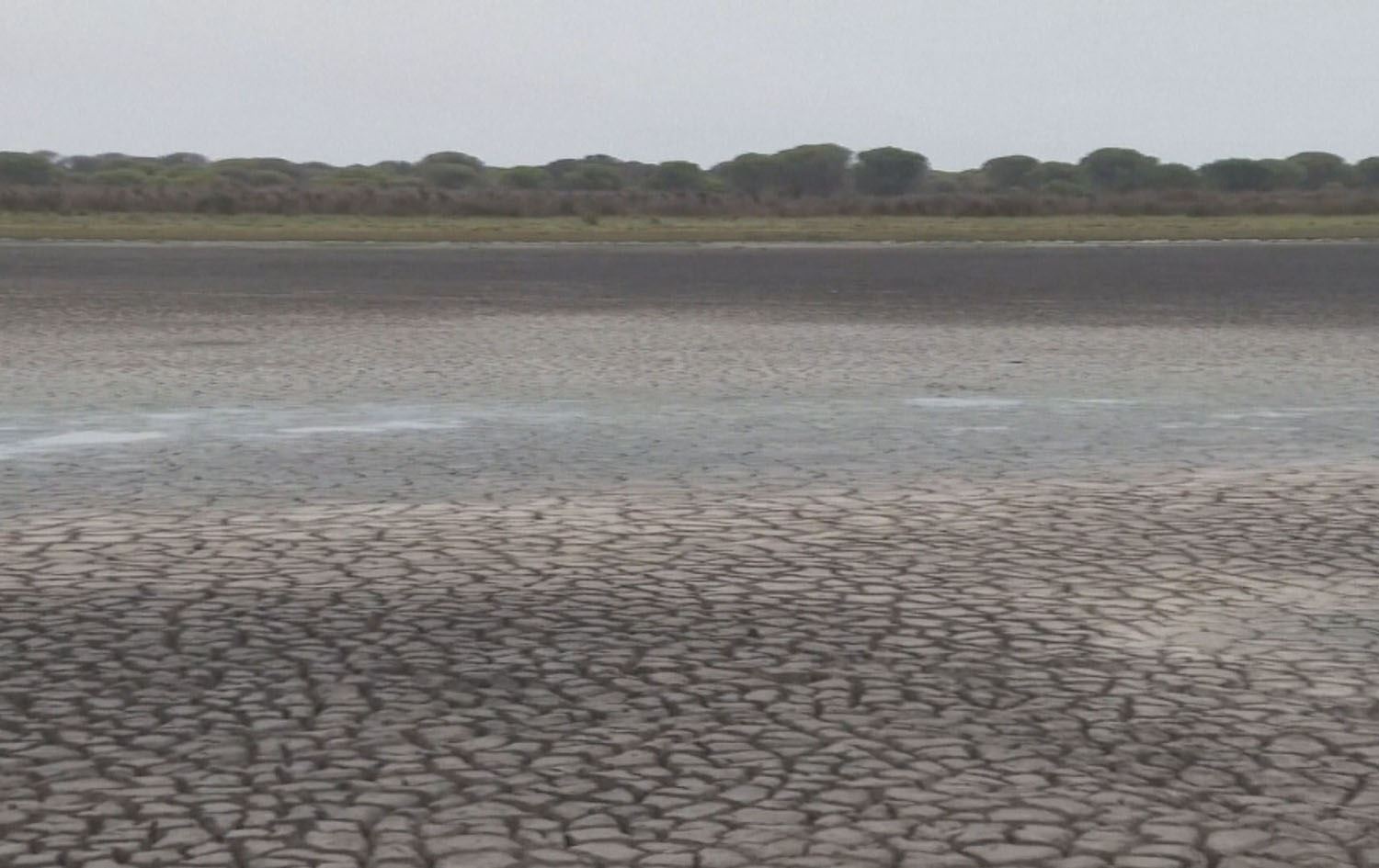 وشکەساڵی زیانی بە 14 ملیۆن دۆنم زەوی کشتوکاڵی ئیسپانیا گەیاندووە