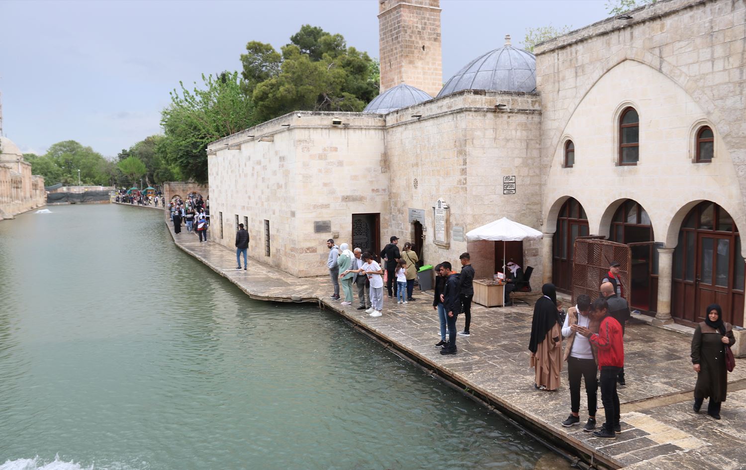 Riha: Serdana geştyaran ji bo Gola Masiyan di cejnê de zêde bûye