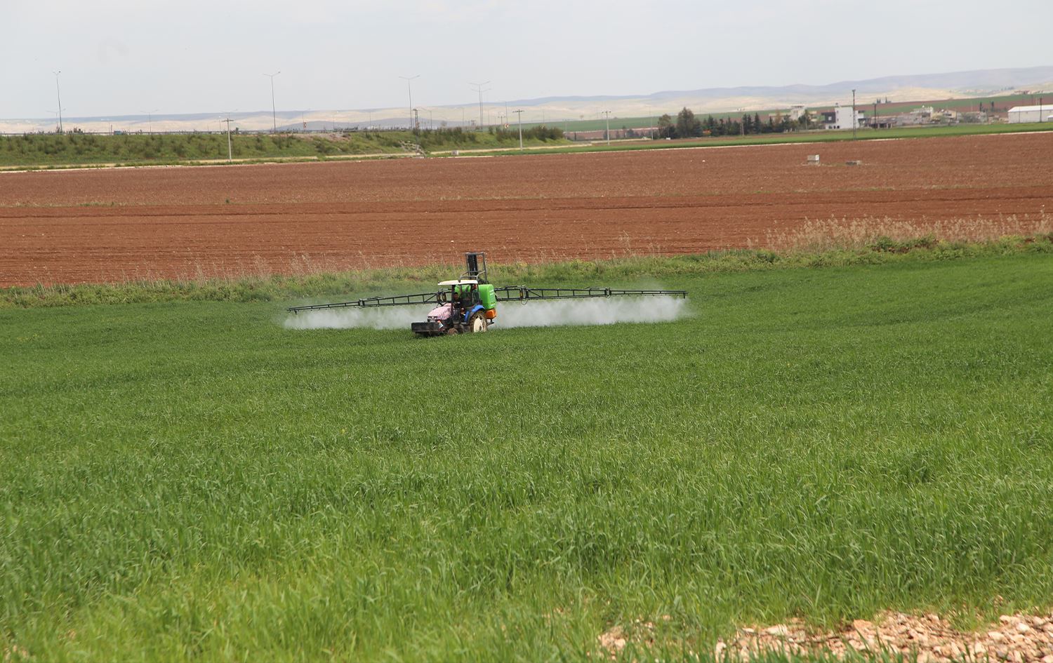Cotkarên Rihayê piştî barana gur ji berhemên xwe bi hêvî ne