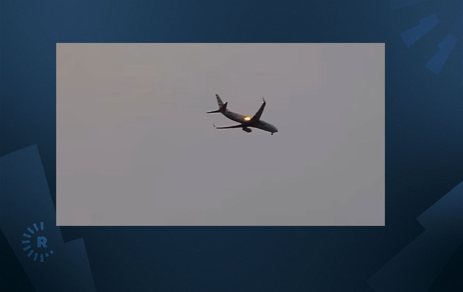 Kaz sürüsüne çarpan uçak acil iniş yaptı