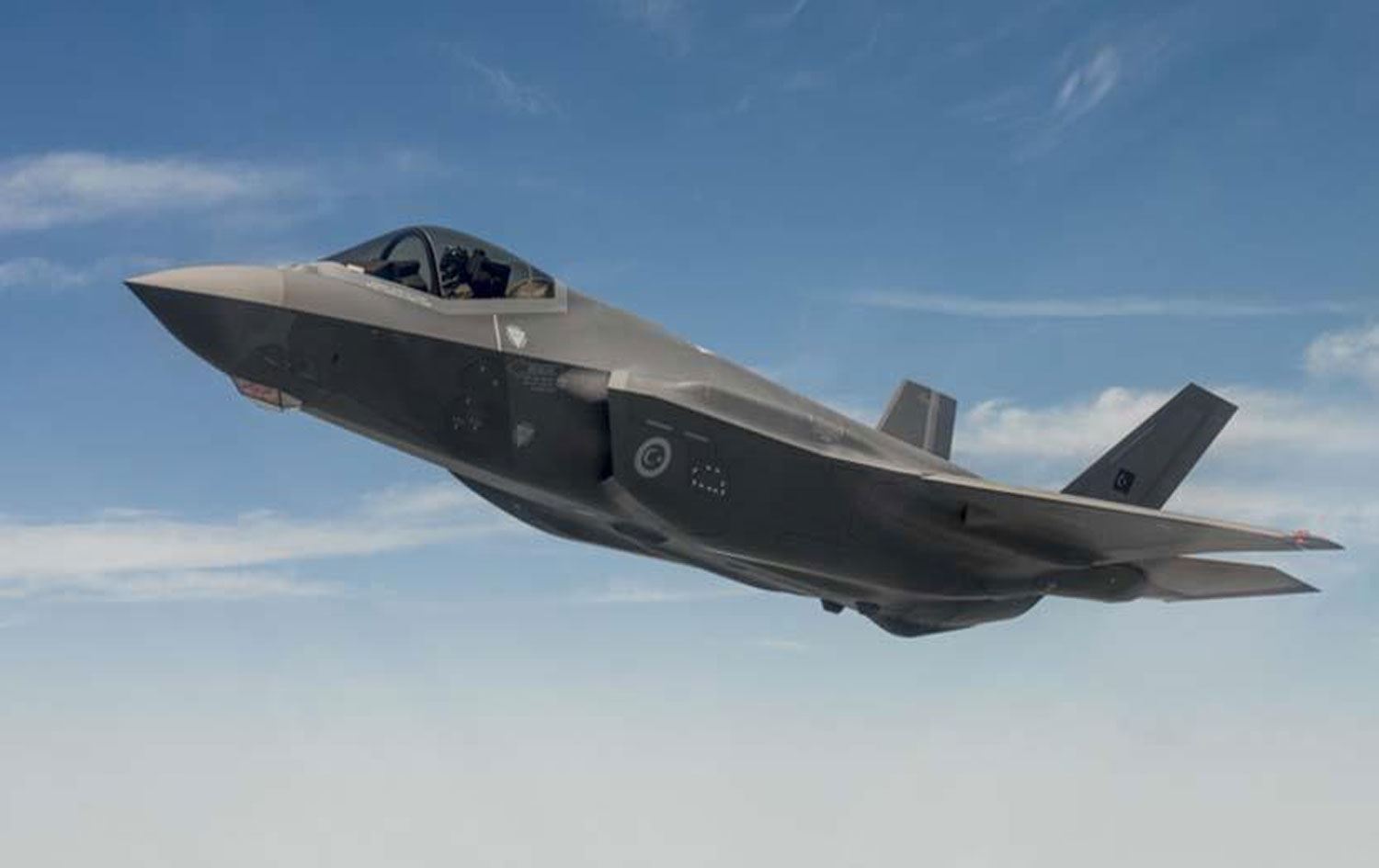 Bağımsızlık Günü gösterilerinde kuşa çarpan 'hayalet uçak' iniş yaptı