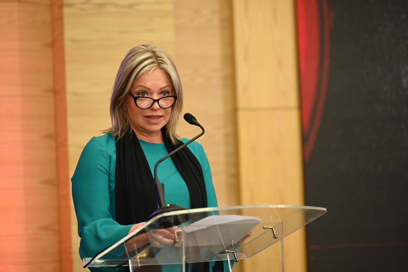 Free media is another powerful driver of education and learning: UNAMI chief