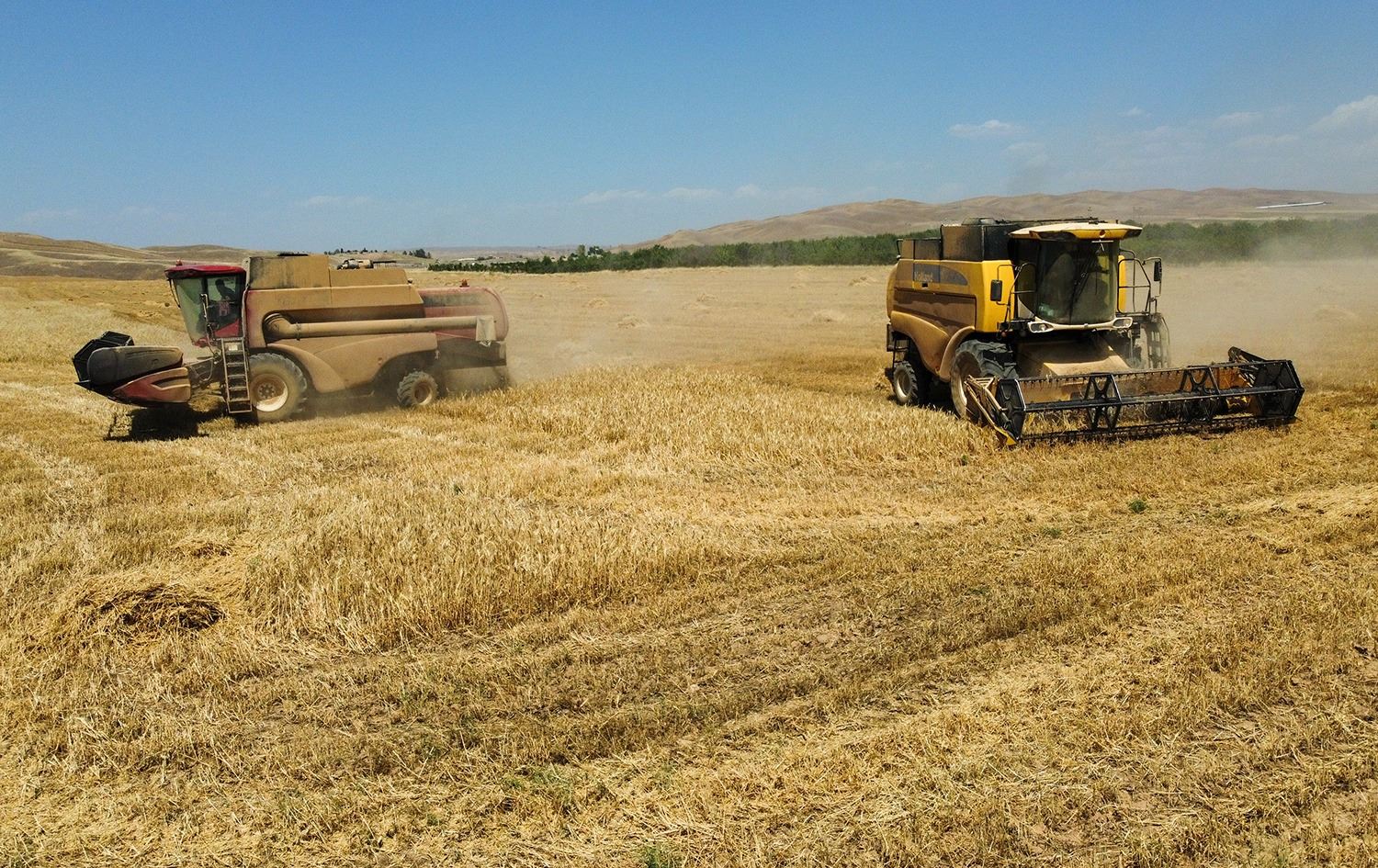 وەزیری بازرگانی: لە کۆیە سایلۆیەک بۆ وەرگرتنی گەنمی جووتیاران دەکرێتەوە