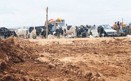 Sınırdaki hayvanlar depresyona girdi!
