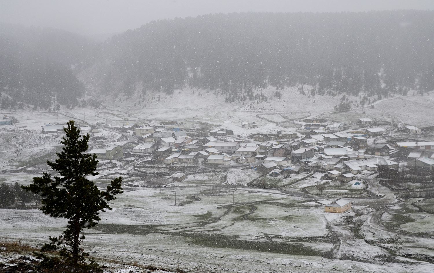 Li çend navçeyên Bakurê Kurdistanê berf barî