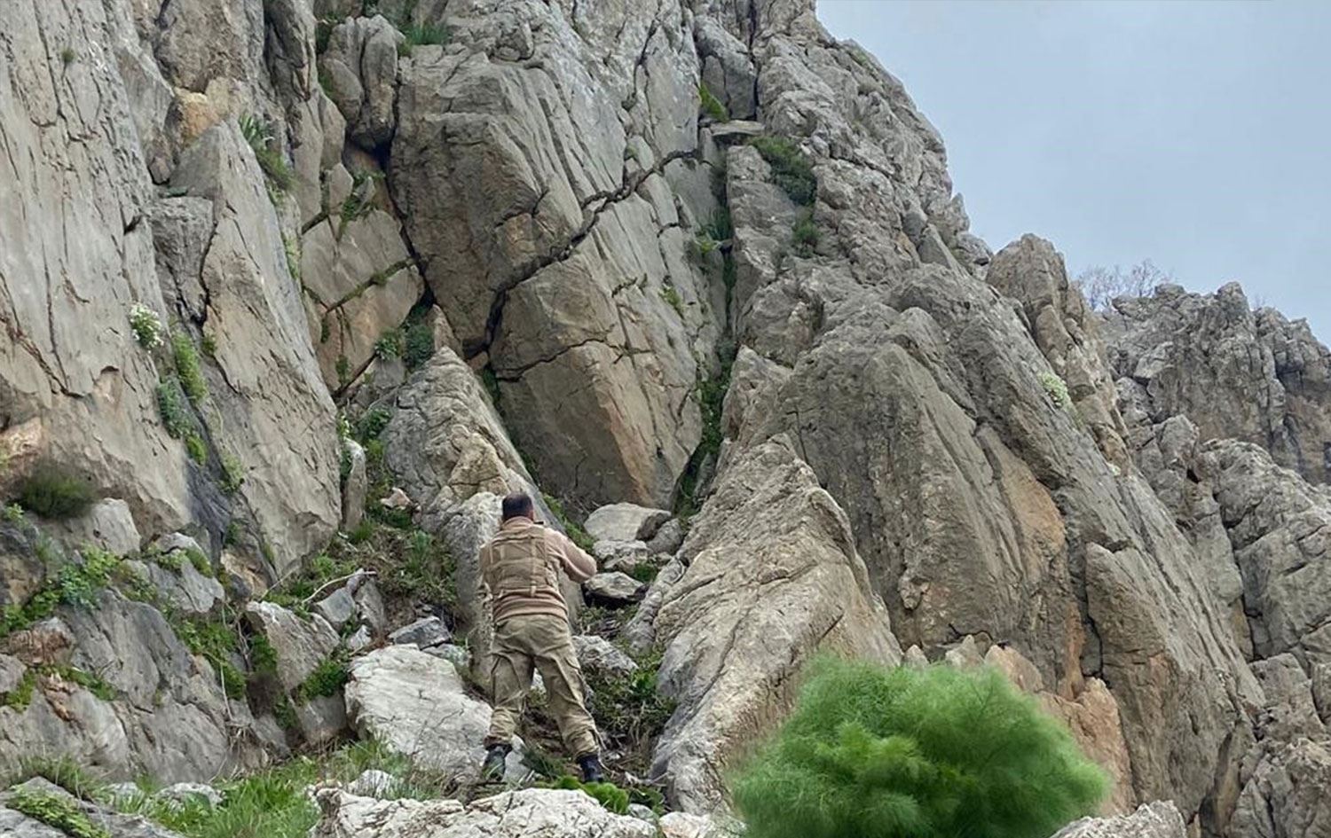Ot toplamaya giden kişi uçuruma düşerek öldü